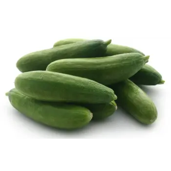 cucumber (4)-5319158-47842.webp